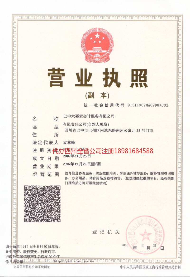 乐山乐山六要素会计服务有限公司